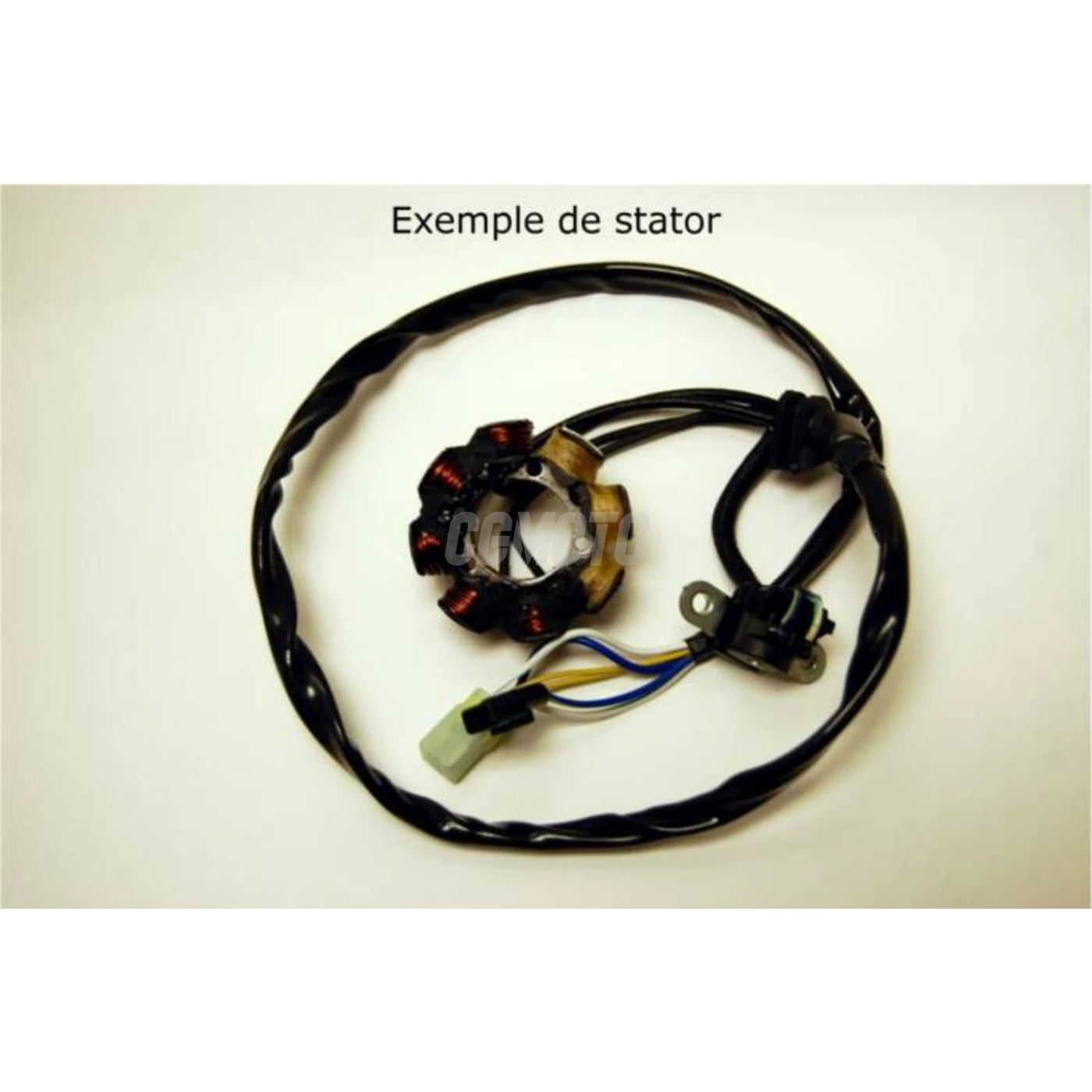 stator ELECTROPSPORT pour Kawasaki