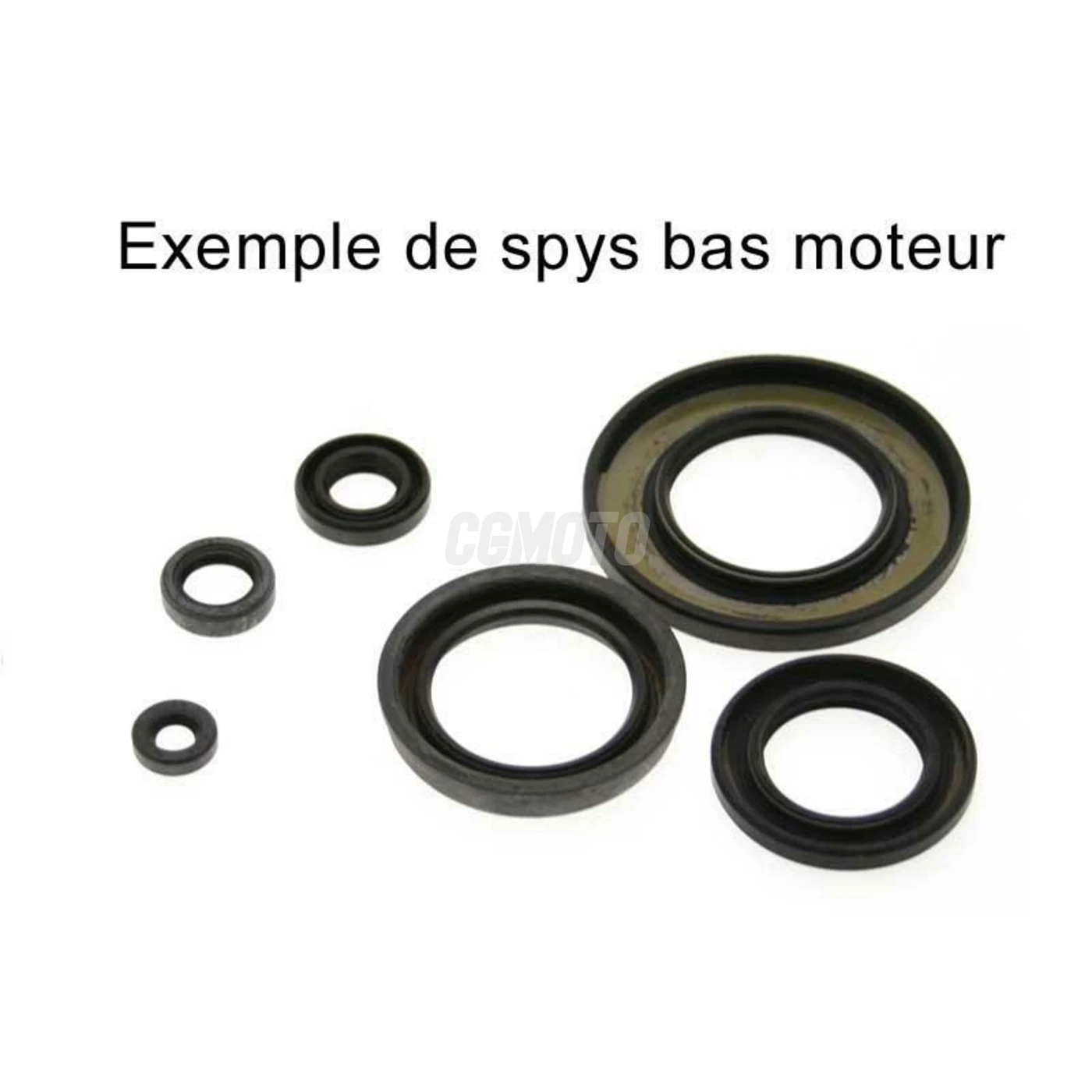 Kit joints spys BAS moteur pour FES250 FORESIGHT 1997-02