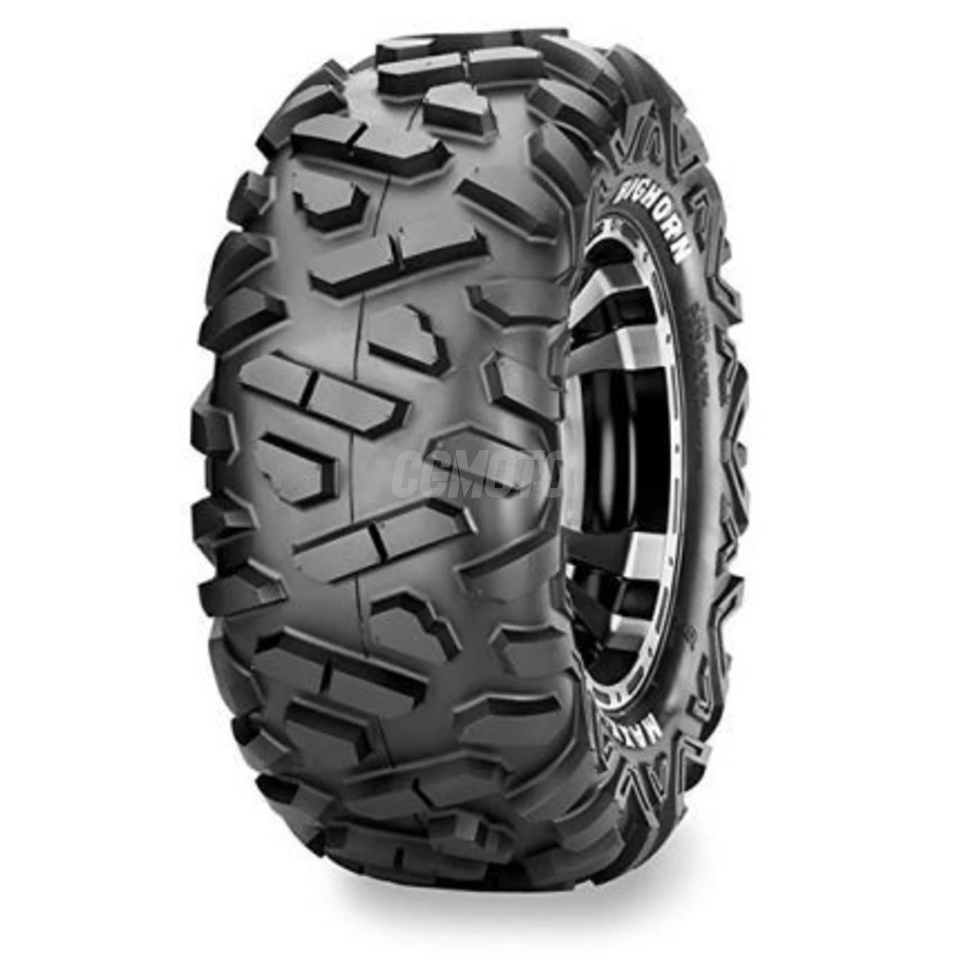 25 x 10 R 12 50N TL 6PR E