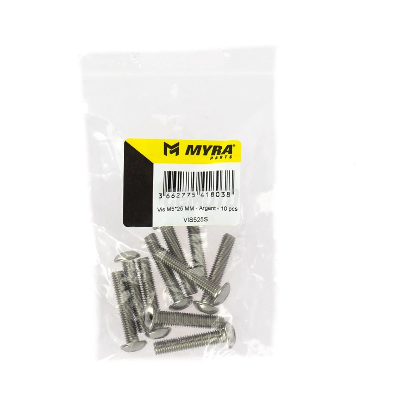 Vis M5*25 MM - Argent - 10 pcs