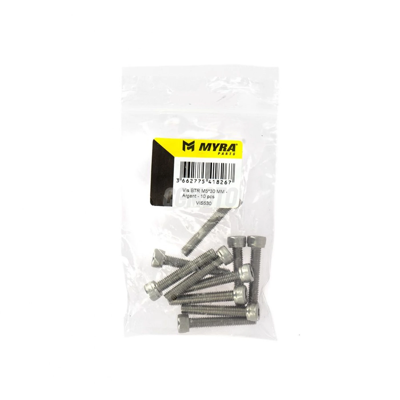 Vis BTR M5*30 MM - Argent - 10 pcs