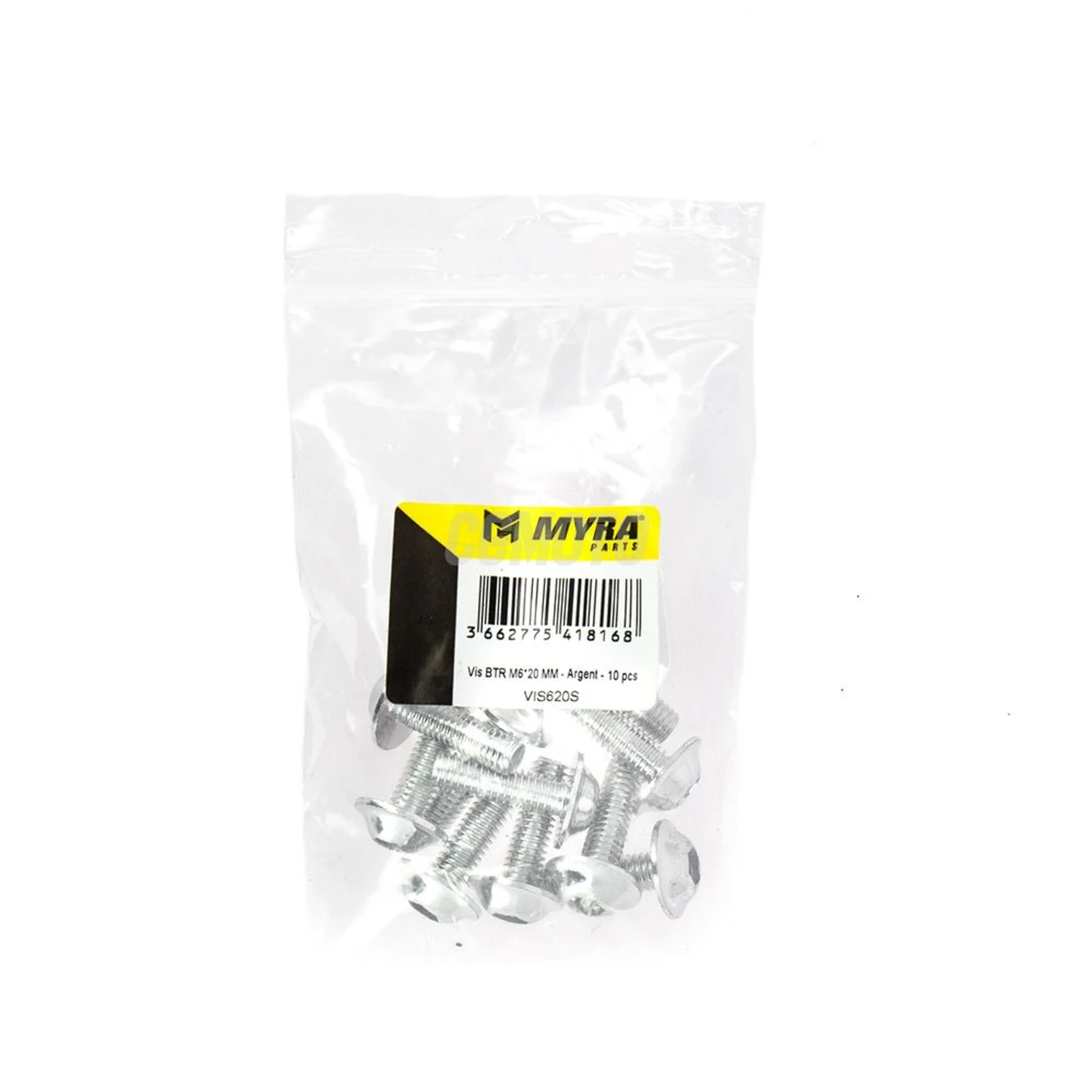 Vis BTR M6*20 MM - Argent - 10 pcs