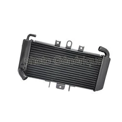 Radiateur Honda TRX 450 R 2004-2010