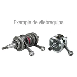 Vilebrequin complet pour KTM