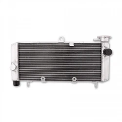 radiateur d'eau Bihr pour Honda